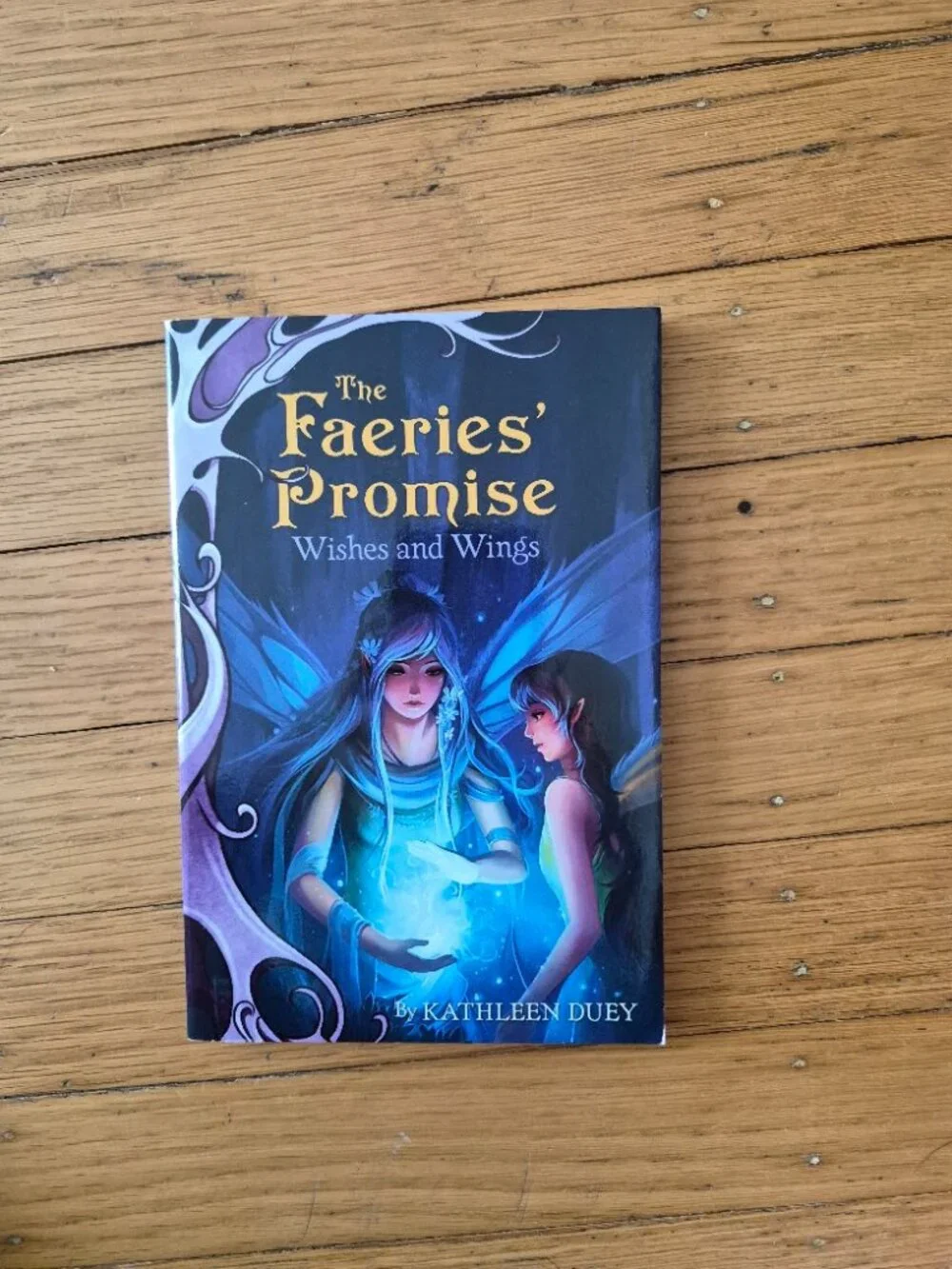 The Faeries' Promise